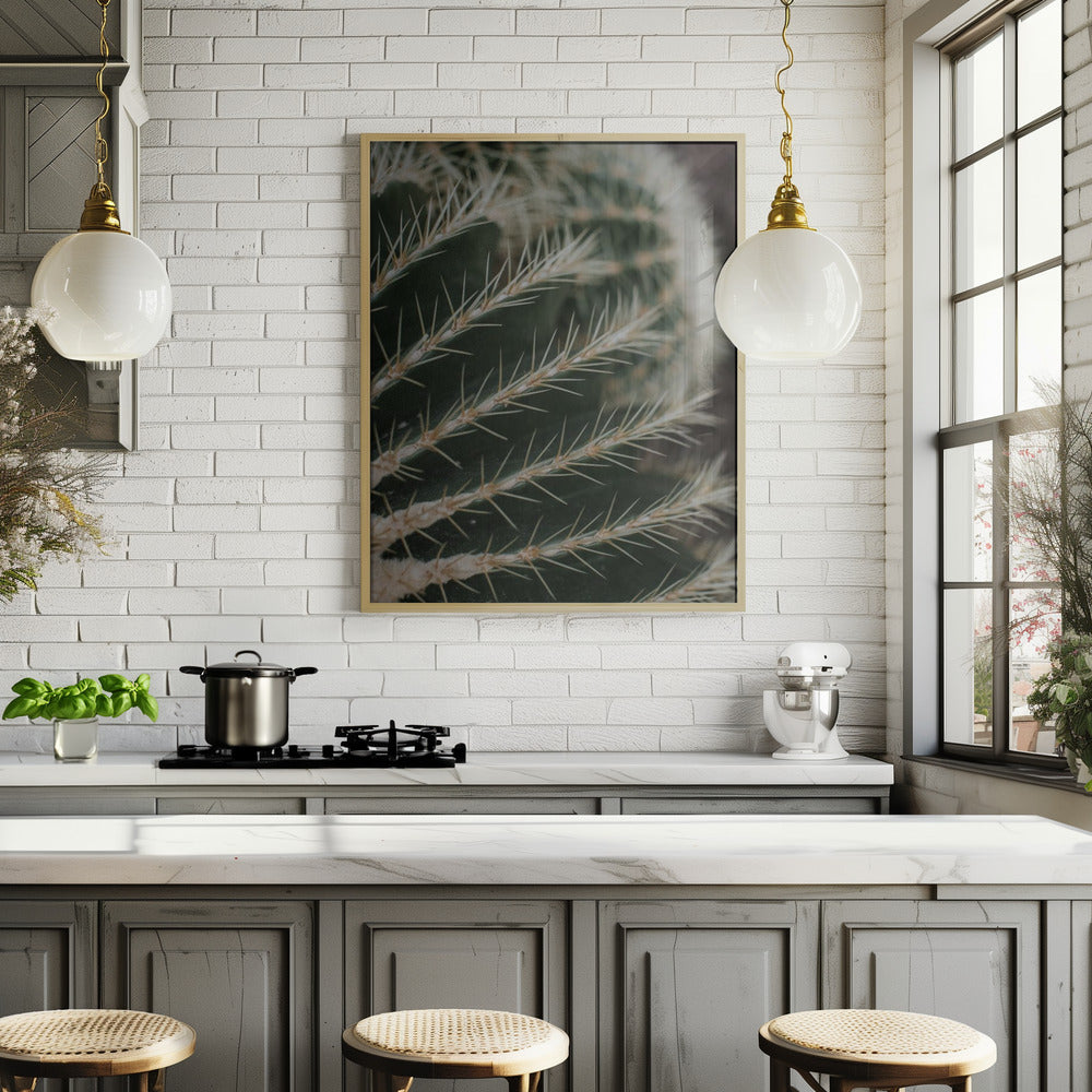 Cactus II Poster